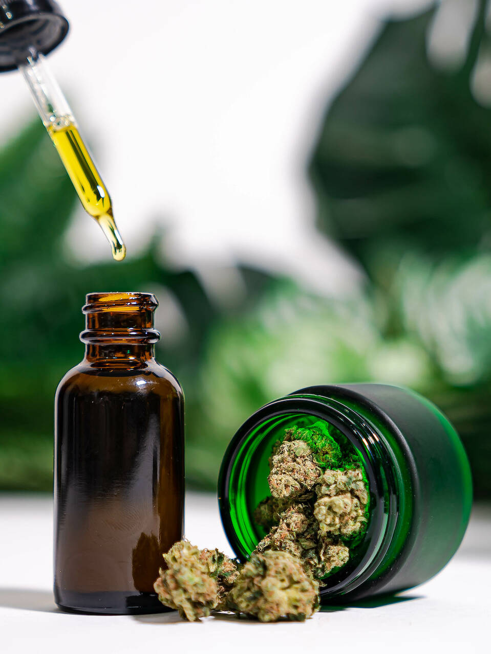 Runtz tincture DC delivery – CannaLove organic full-spectrum terpenes