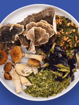 Blue Matcha Micro My Dose Tea blend with green matcha, butterfly pea blossoms, moringa, turkey tail, and psilocybin mushrooms.