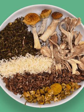 Cacao Mint Micro My Dose Tea with raw cacao pods, peppermint, coconut, chamomile, maitake, and psilocybin mushrooms.