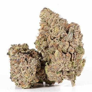 Purple Octane Indica Cannabis Strain for Weed Delivery in DC